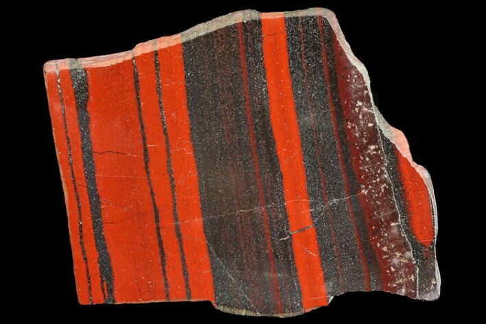 Polished Tiger Iron Stromatolite - ( Billion Years) #75837